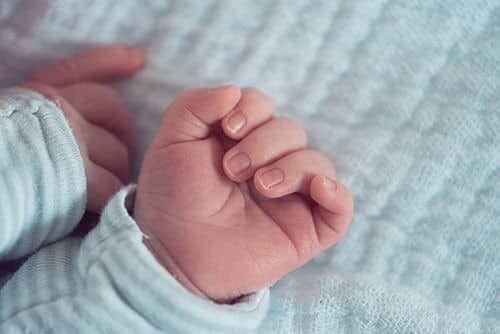 mãos - Desenvolvimento do Bebê